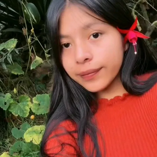 luya1_p