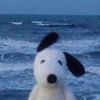 cerys_623