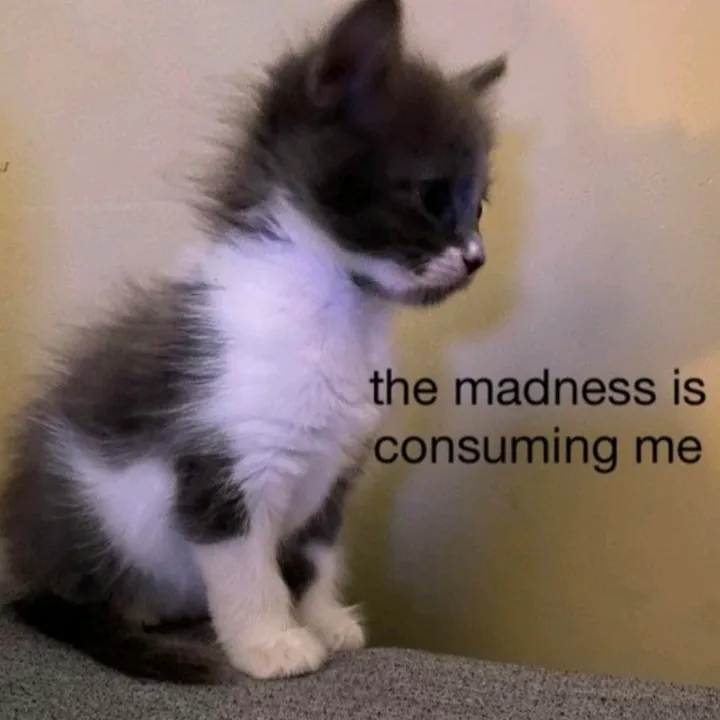 shampeinproblems