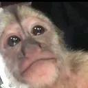 @chetitos_uwu