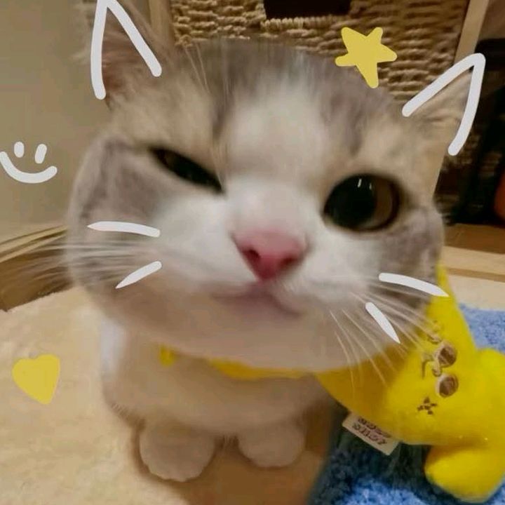 mooncuti19