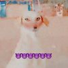 @dog.5476