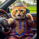 @dasterbanjarmasinmurah