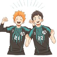 onlyhaikyuuflyhigh