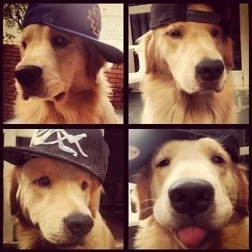 4ngelicxz_