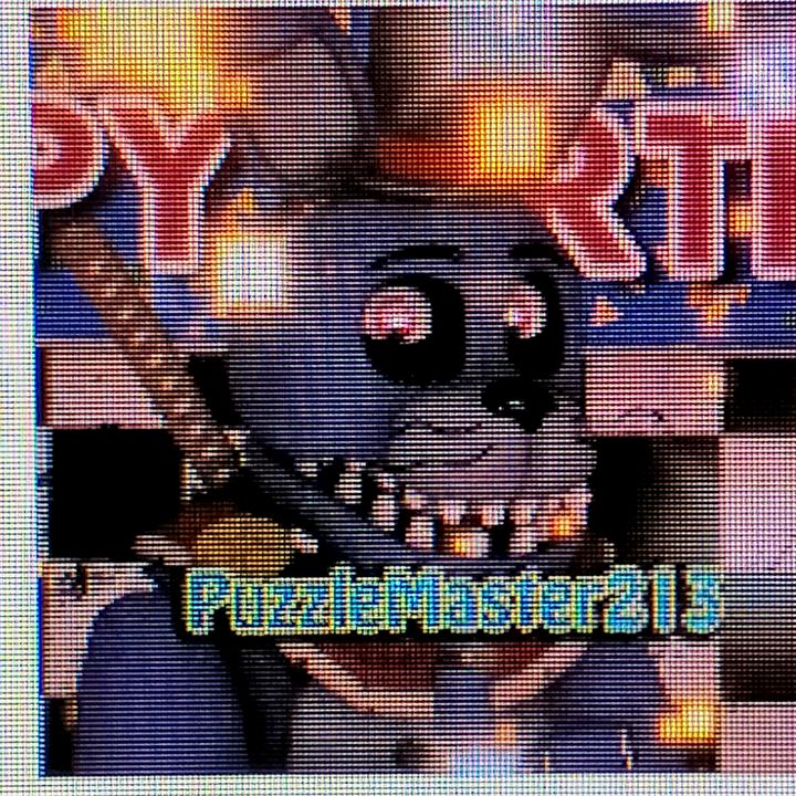 puzzlemaster213