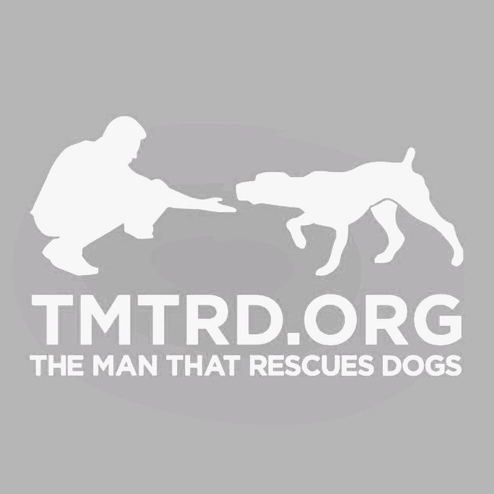 tmtrdorg