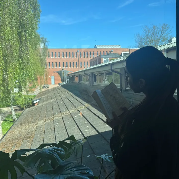 rabeea_yousafzai