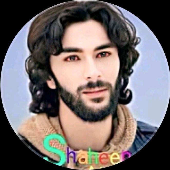 shaheenafsa302