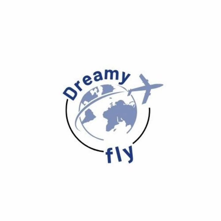 dreamyfly2023