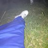 dxvid_fpx.7
