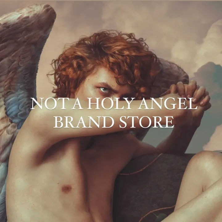 not_a_holy_angel