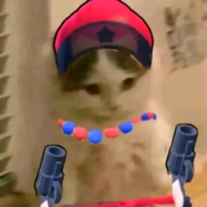 turkeybestcolt