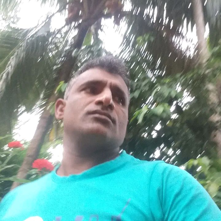 user3256162627404