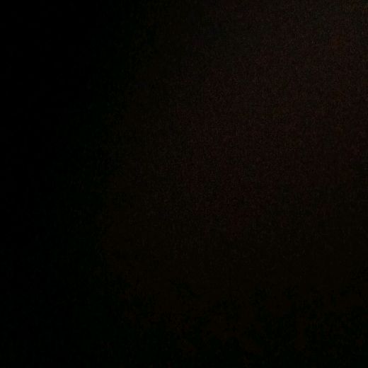 black.tiger.ramla