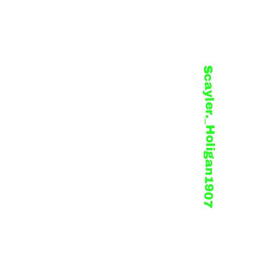 scayrel._holigan1907