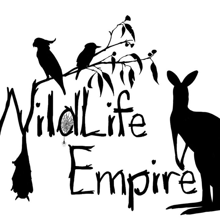 wildlargrbi
