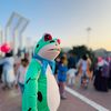 frog.top.1.bd