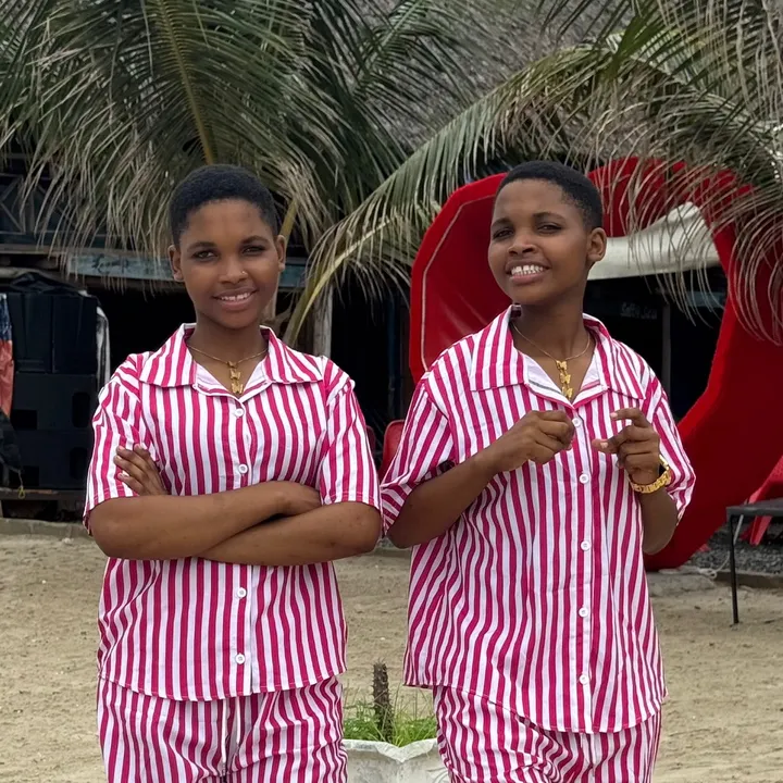 twins_fey1