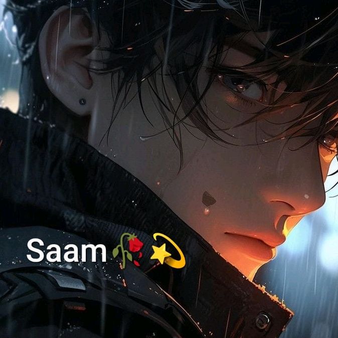 saam13478