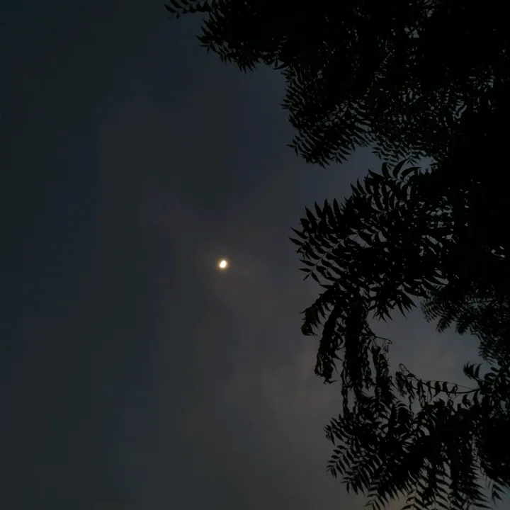 maria_rao