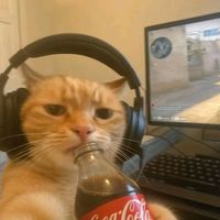 el_tonito7