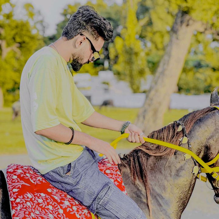 alirajput.804