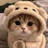 fujiaudyaa