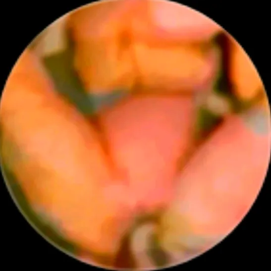 manyamata8