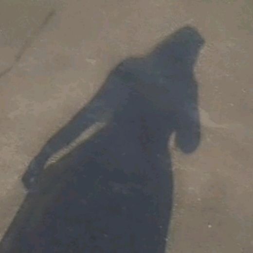 purple_heart773