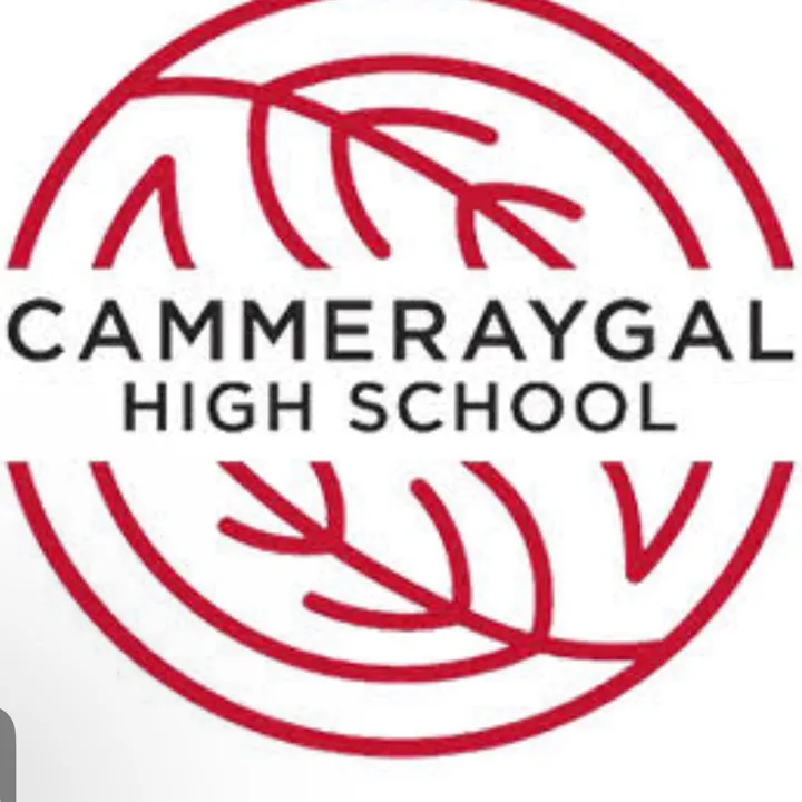 cammeraygalyr7ships