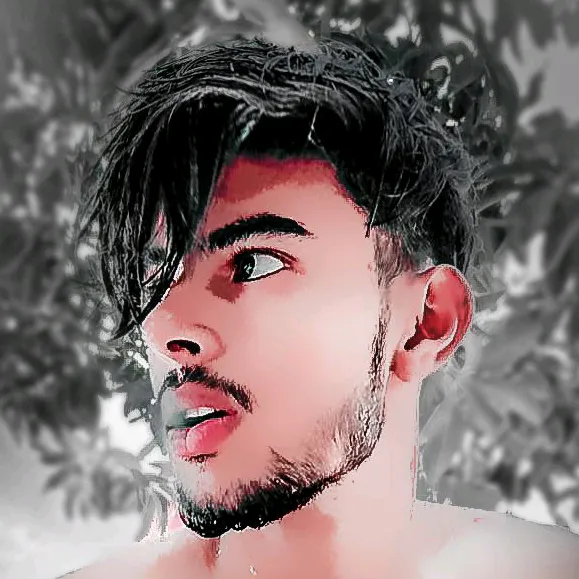usaid._rao