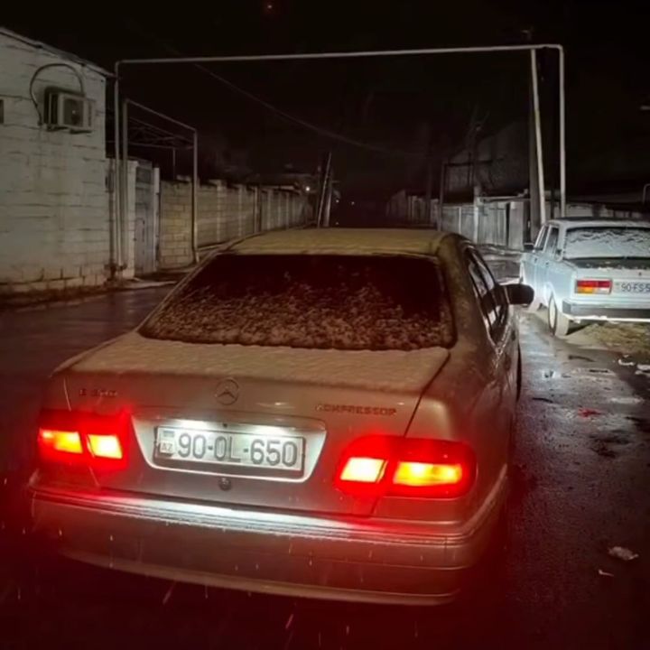 alieev77