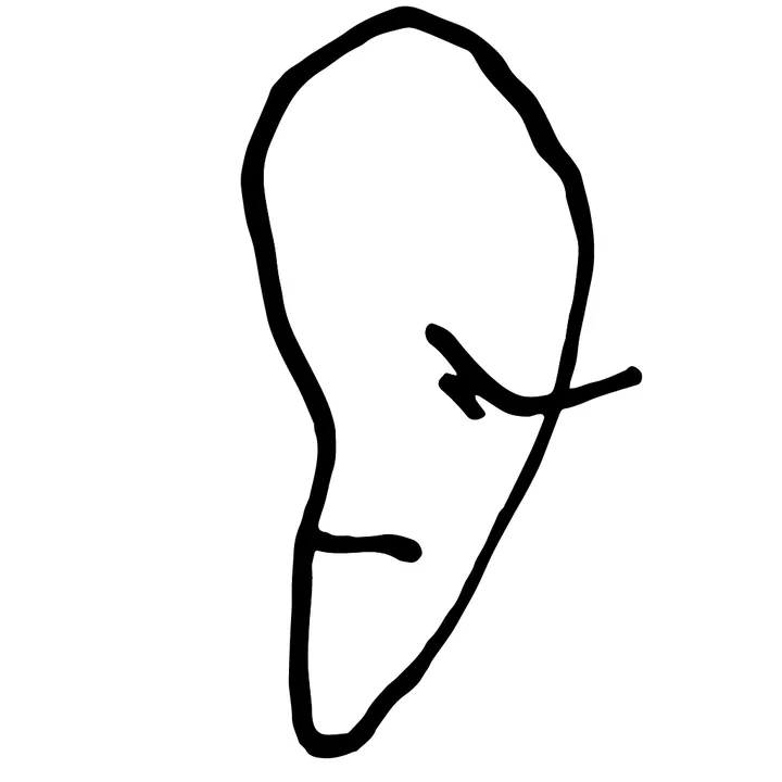 snekoden