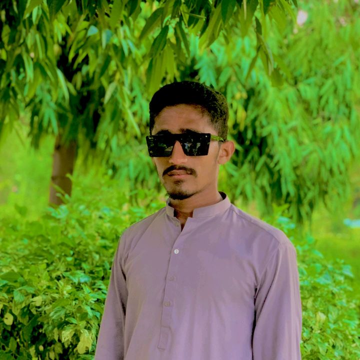 salman.blouch.786