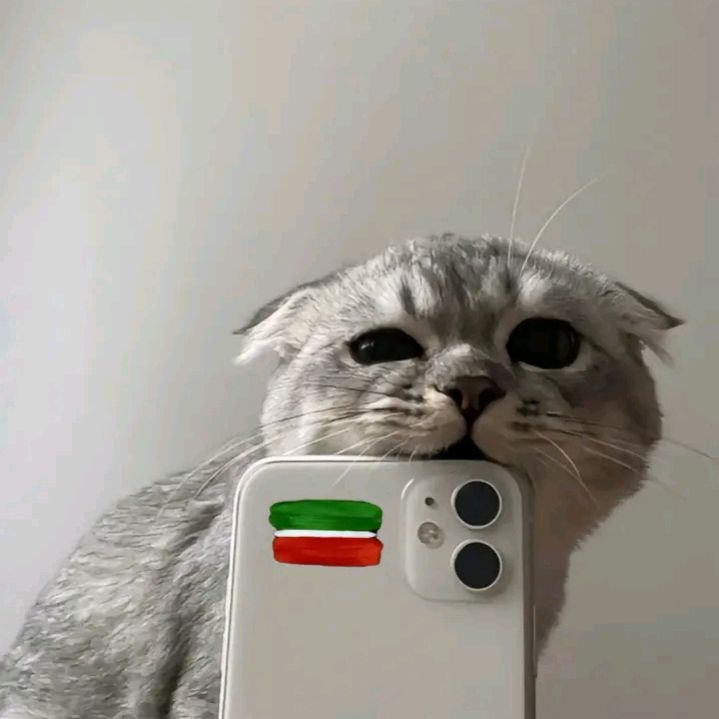 malikova.z.n
