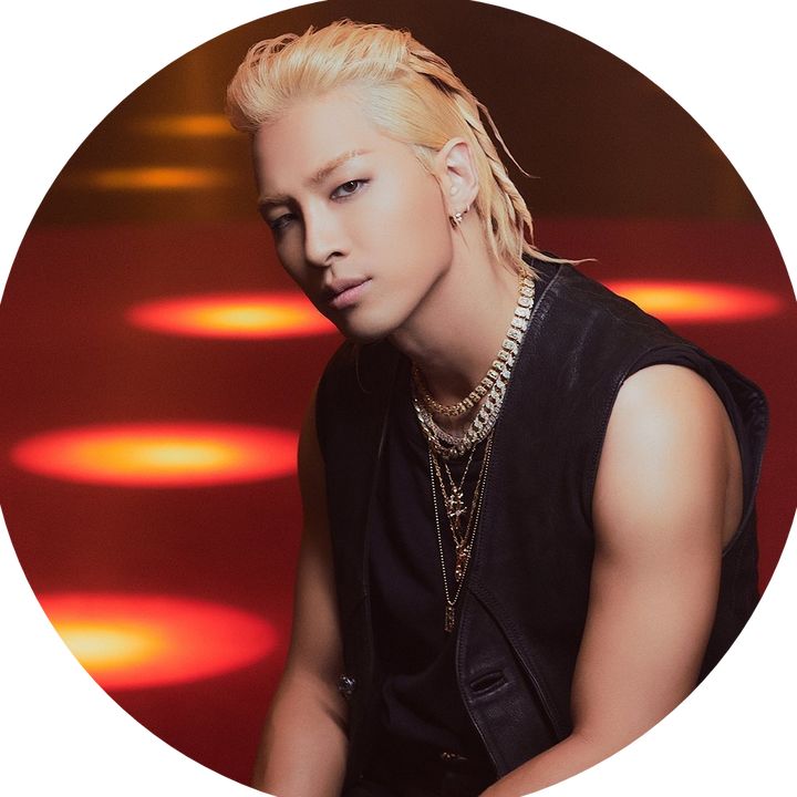 taeyangscat