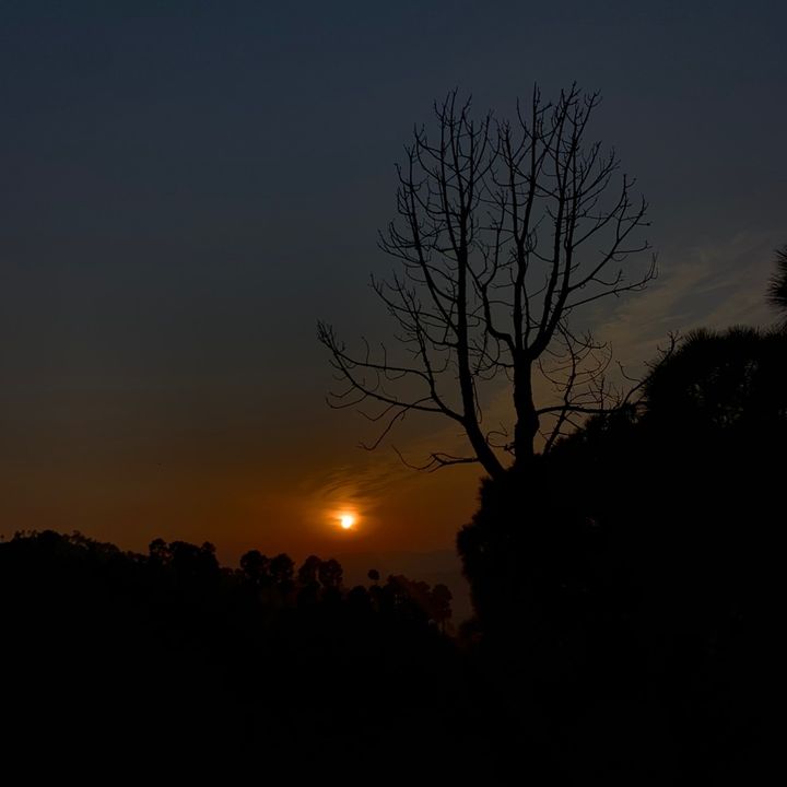 moteeb.kashmiri2