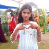 vishalsada569