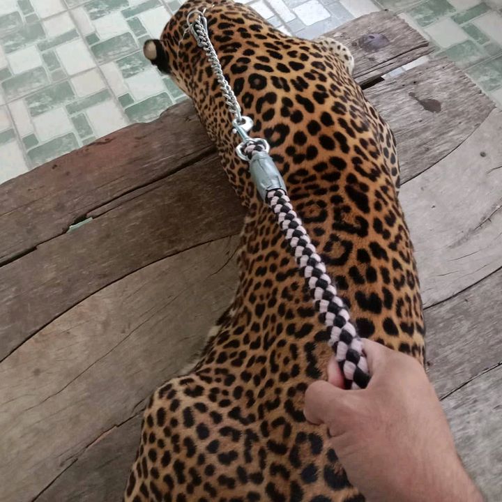 kuyzgee