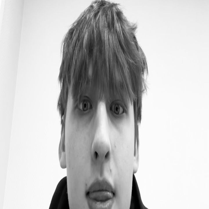 tgktarik