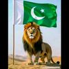 rezwan.khan310