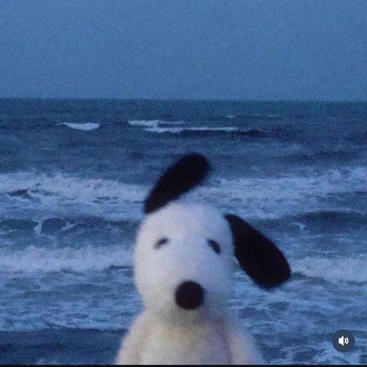 wejjerf