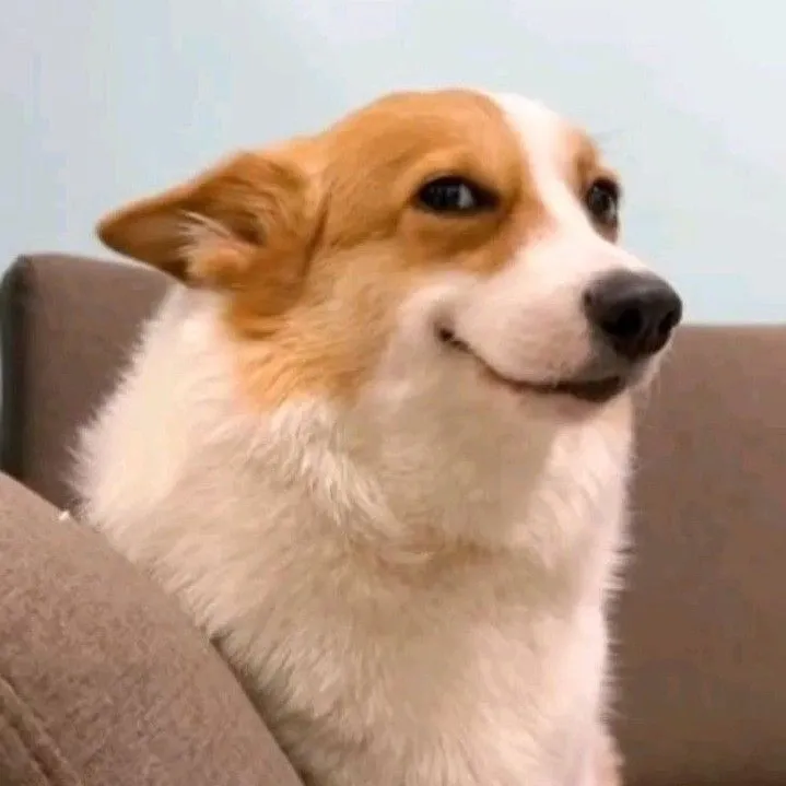 vikochorni