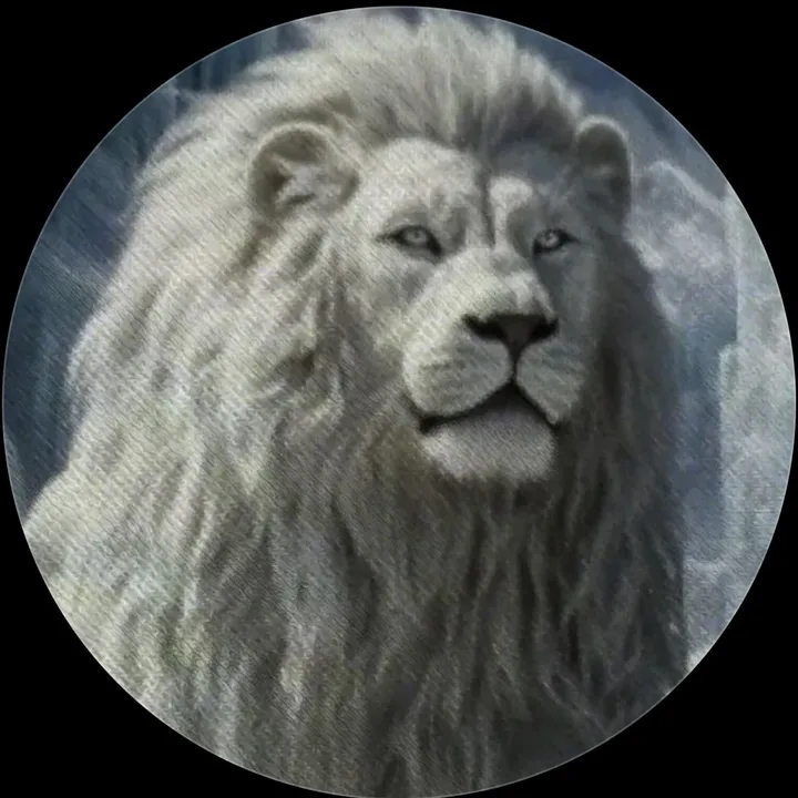 sardor_sulton_511
