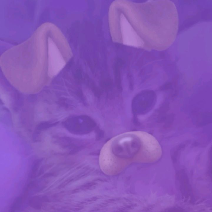 anikaa_148