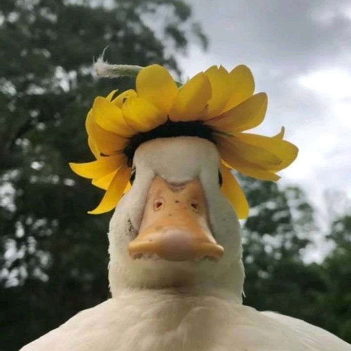 gertruda89