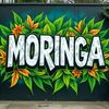 moringaz