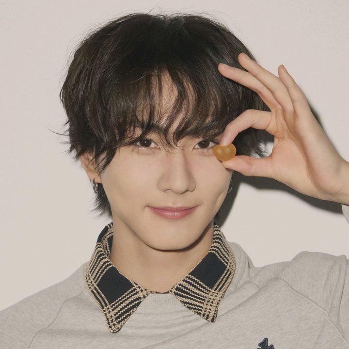 @yjngw.cat