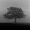 iam.7_1_3